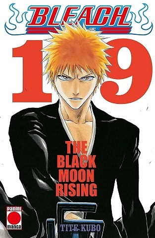 BLEACH BESTSELLER 19 