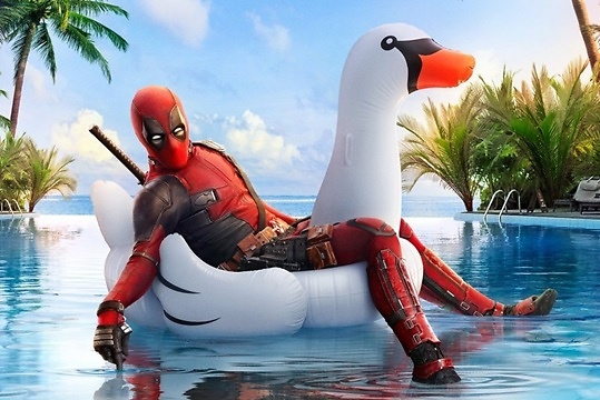 CERRADO POR VACACIONES DEL 15 AGOSTO AL 24 AGOSTO 