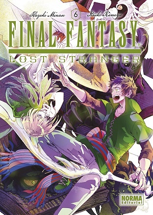 FINAL FANTASY LOST STRANGER 6 