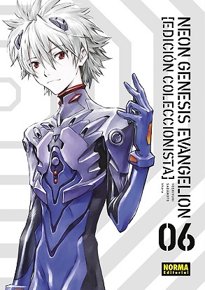 NEON GENESIS EVANGELION EDICIÓN COLECCIONISTA 6 