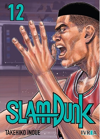 SLAM DUNK NEW EDITION 12 