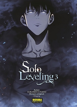 SOLO LEVELING 3 