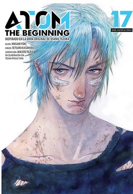Atom: The Beginning, Vol. 17 