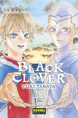  BLACK CLOVER 22