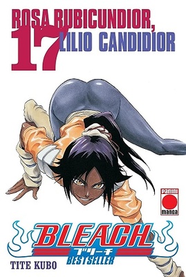 BLEACH BESTSELLER 17 