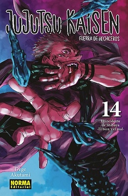 JUJUTSU KAISEN 14