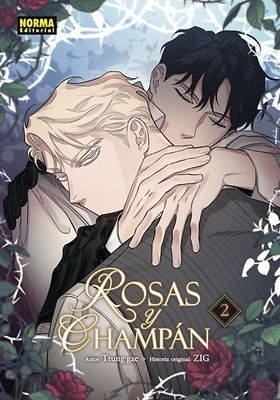 ROSAS Y CHAMPÁN 2