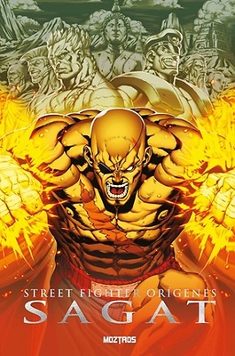STREET FIGHTER ORIGENES: SAGAT